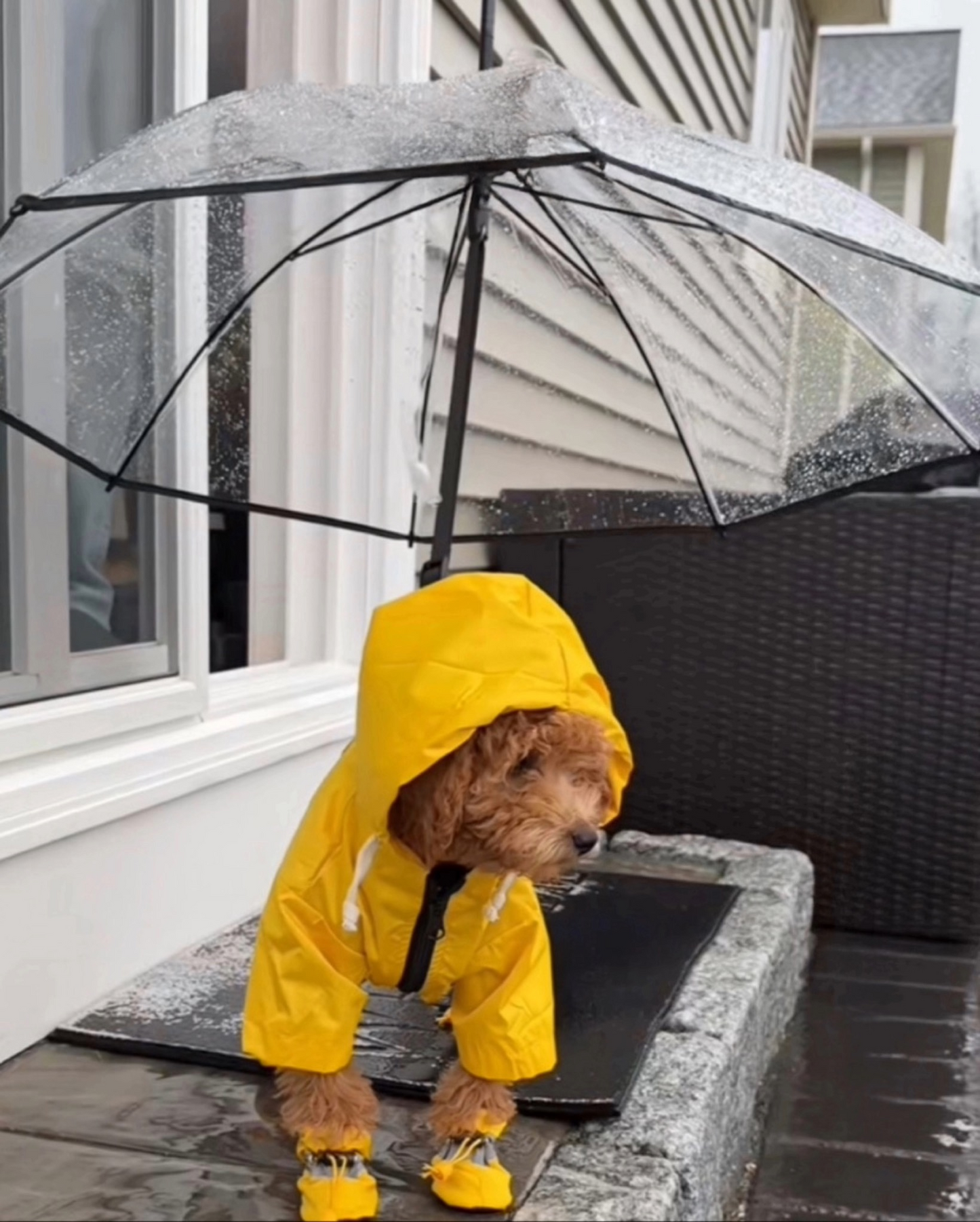 犬用傘 梅雨対応 雨具 無地 大判 小型犬 ペット用傘 防雨防雪 犬用傘 雨の日でも散歩できるアンブレラ 折り畳み式リード傘 小型犬中型犬に適用