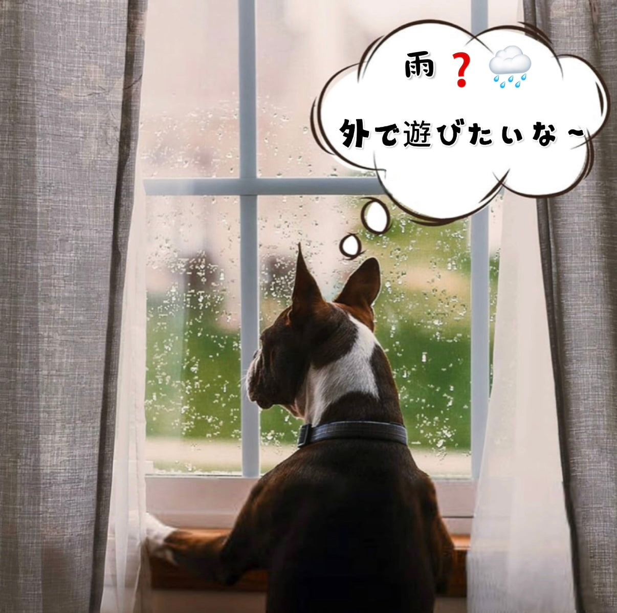犬用傘 梅雨対応 雨具 無地 大判 小型犬 ペット用傘 防雨防雪 犬用傘 雨の日でも散歩できるアンブレラ 折り畳み式リード傘 小型犬中型犬に適用